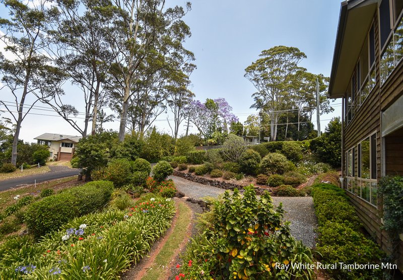 Photo - 42 Coomera Gorge Drive, Tamborine Mountain QLD 4272 - Image 16