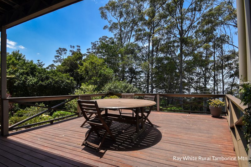 Photo - 42 Coomera Gorge Drive, Tamborine Mountain QLD 4272 - Image 19