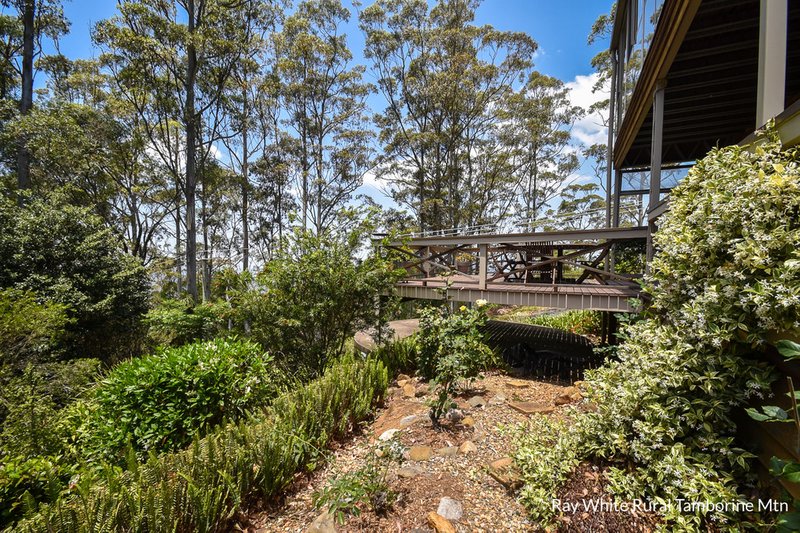 Photo - 42 Coomera Gorge Drive, Tamborine Mountain QLD 4272 - Image 20