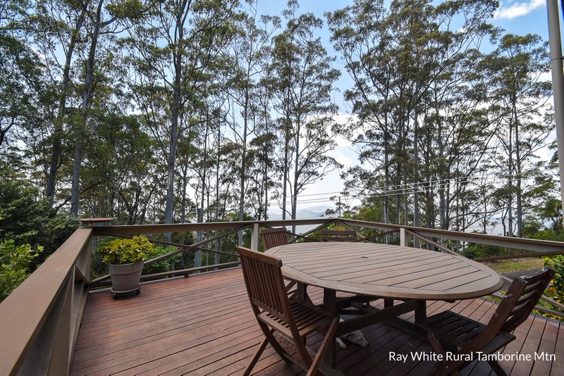 Photo - 42 Coomera Gorge Drive, Tamborine Mountain QLD 4272 - Image 22