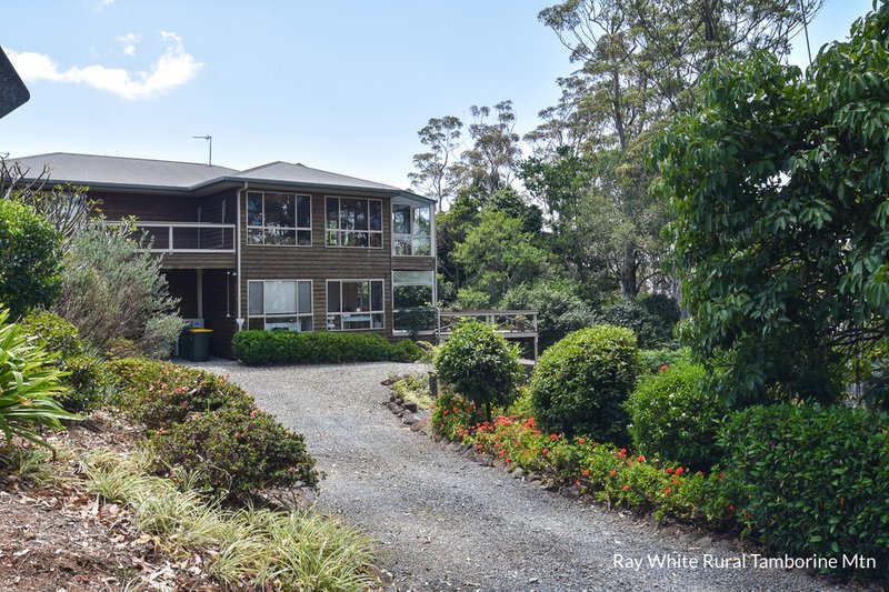 Photo - 42 Coomera Gorge Drive, Tamborine Mountain QLD 4272 - Image 25