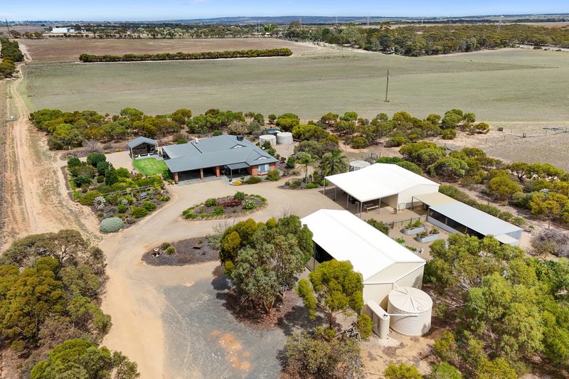 Photo - 42 Dean Jaensch Road, Murray Bridge SA 5253 - Image 1
