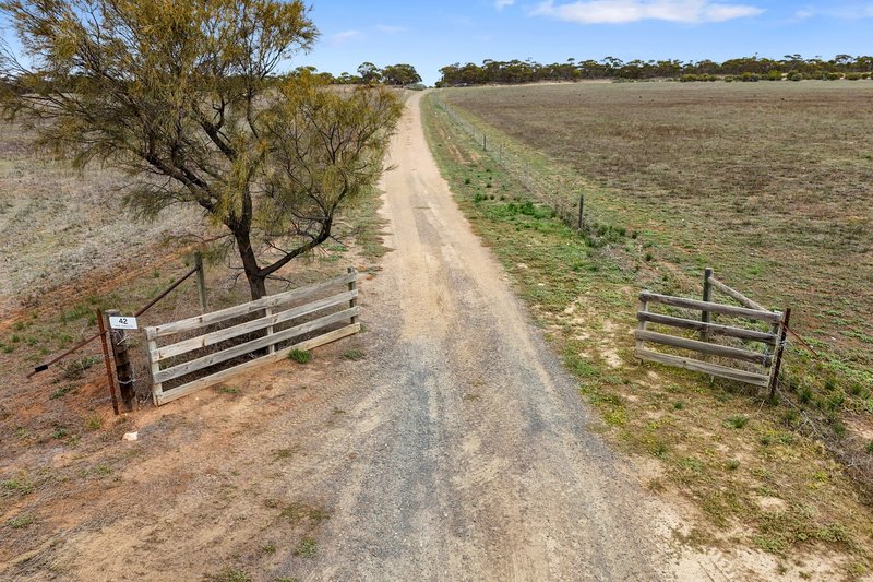 Photo - 42 Dean Jaensch Road, Murray Bridge SA 5253 - Image 28