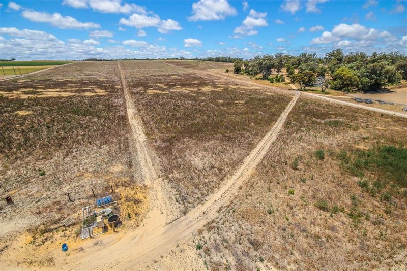 42 Delich Road, Carabooda WA 6033