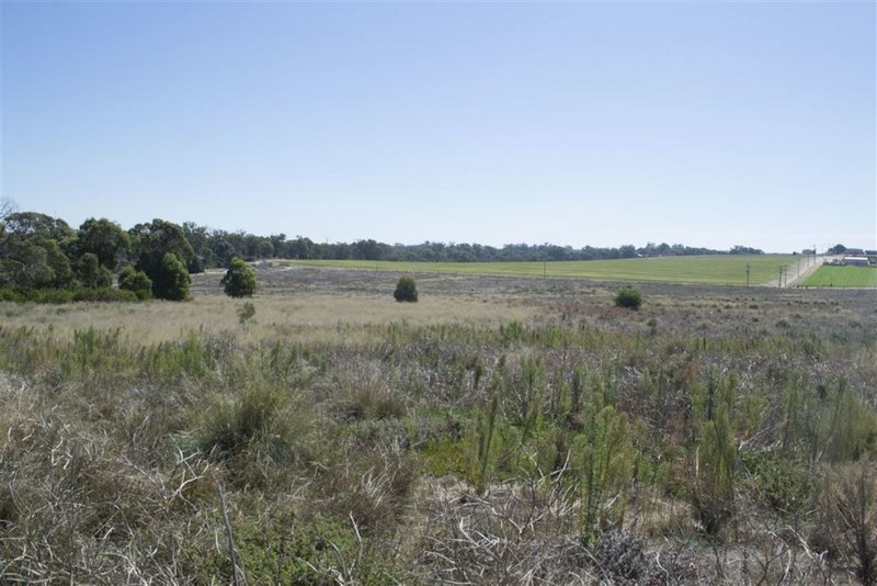 Photo - 42 Delich Road, Carabooda WA 6033 - Image 2