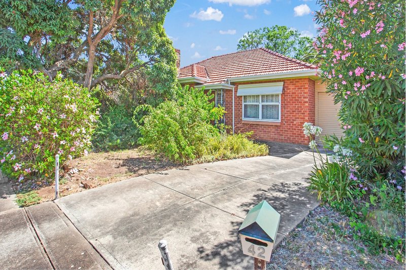 42 Douglas Street, Flinders Park SA 5025