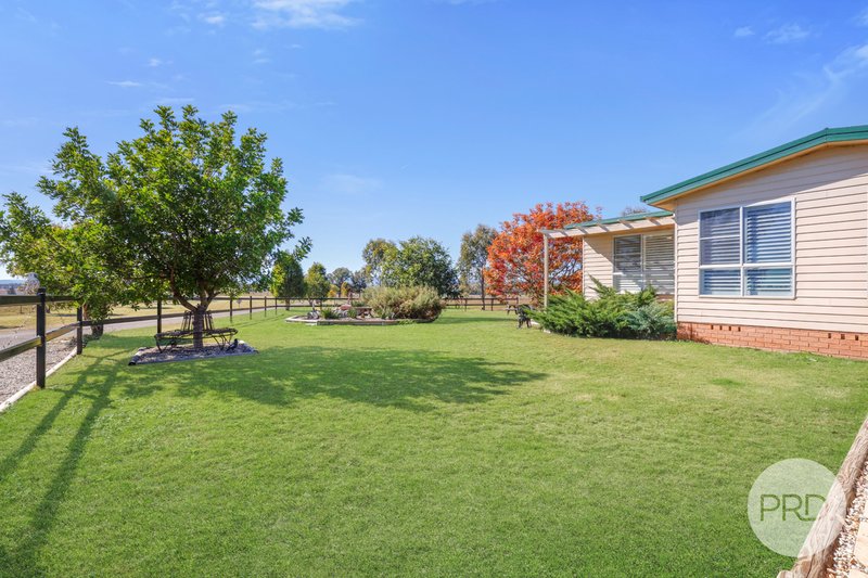 Photo - 42 Jenners Lane, Tamworth NSW 2340 - Image 2