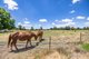 Photo - 42 Lacmalac Road, Tumut NSW 2720 - Image 20