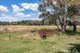 Photo - 42 Lacmalac Road, Tumut NSW 2720 - Image 21