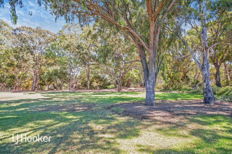 Photo - 42 Lorraine Avenue, Lockleys SA 5032 - Image 24