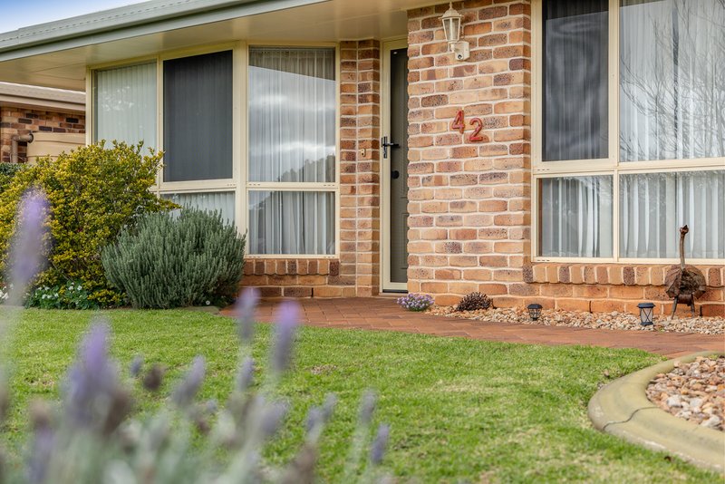 Photo - 42 Lorraine Crescent, Centenary Heights QLD 4350 - Image 21