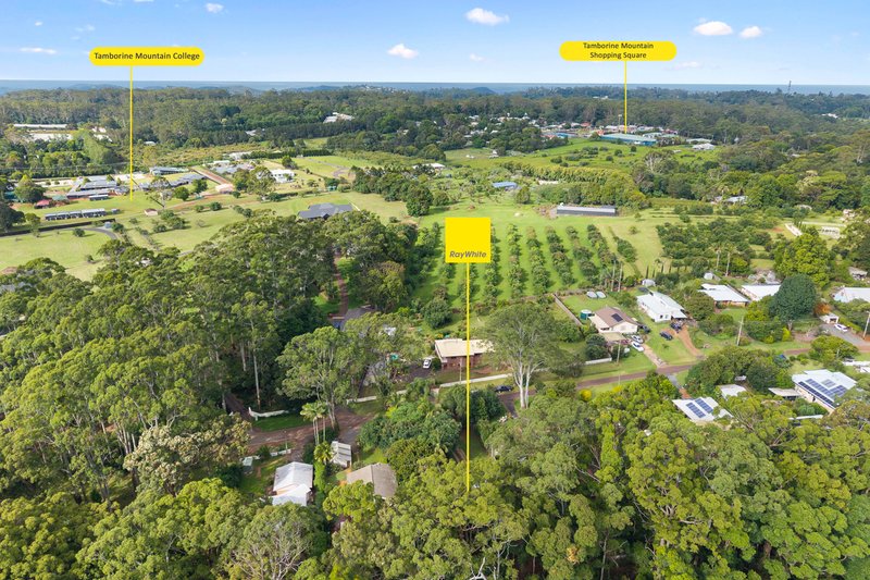 Photo - 42 Manitzky Road, Tamborine Mountain QLD 4272 - Image 17