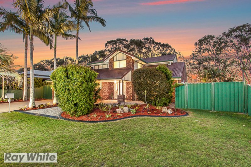 Photo - 42 Melaleuca Crescent, Rothwell QLD 4022 - Image 4