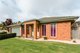 Photo - 42 Michelle Drive, Hastings VIC 3915 - Image 3