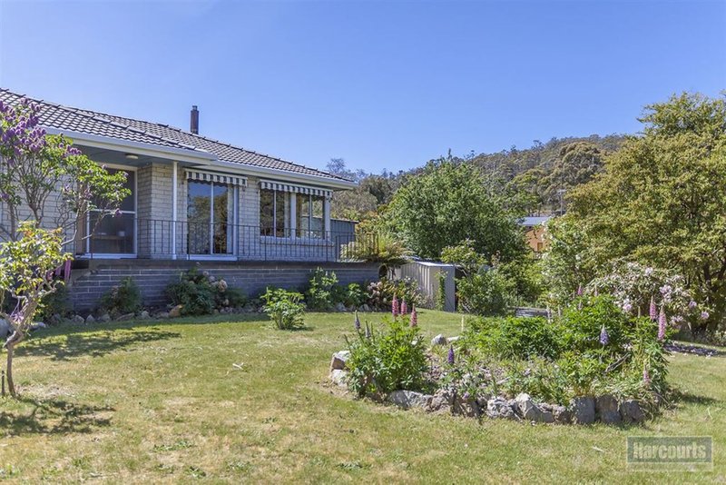 Photo - 42 Mountain River Road, Grove TAS 7109 - Image 13