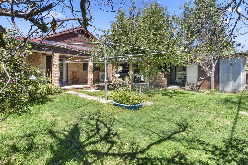 Photo - 42 Nimbin Street, Narrabundah ACT 2604 - Image 14