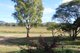 Photo - 42 Oaky Creek Road, Innisplain QLD 4285 - Image 1