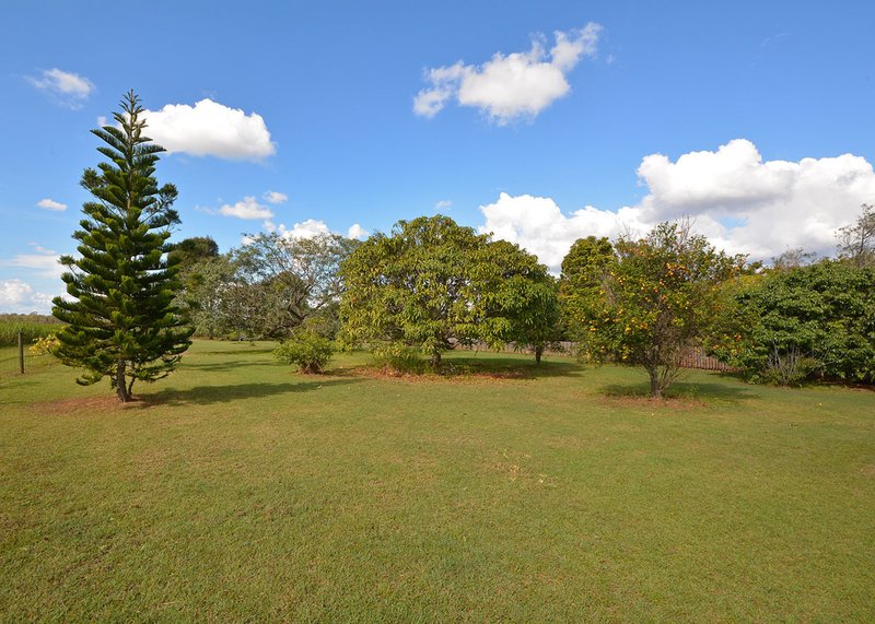 Photo - 42 Purser Road, Dundowran QLD 4655 - Image 20