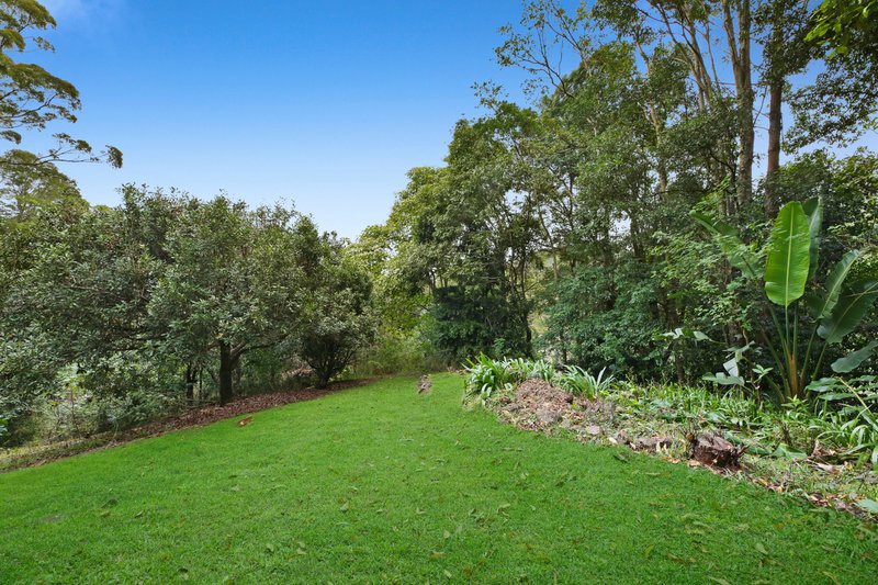 Photo - 42 Tarlington Road, Lower Beechmont QLD 4211 - Image 17