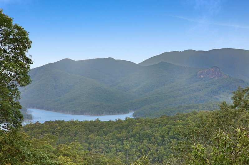 Photo - 42 Tarlington Road, Lower Beechmont QLD 4211 - Image 24