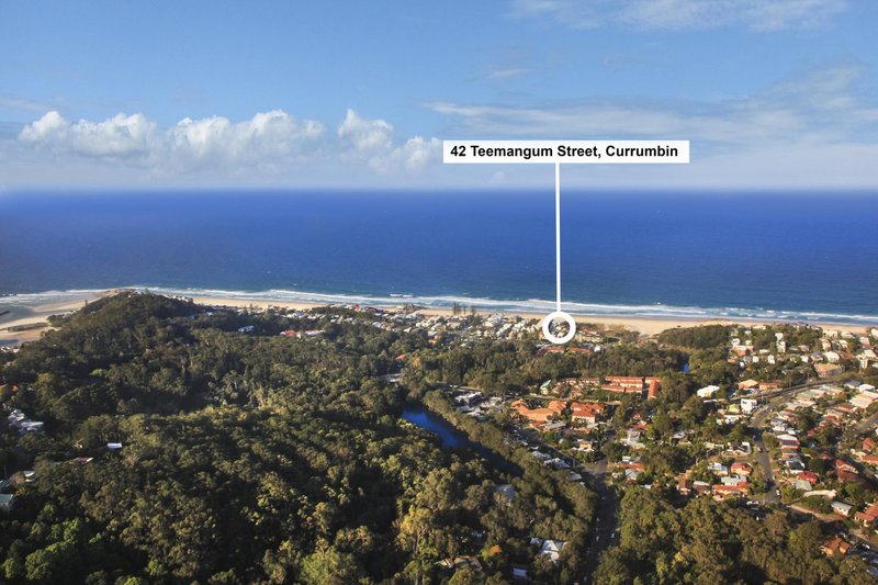 Photo - 42 Teemangum Street, Currumbin QLD 4223 - Image 12