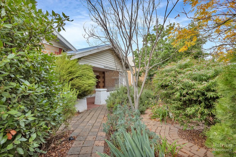 Photo - 42 Torrens Road, Riverton SA 5412 - Image 2