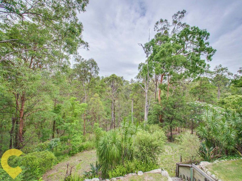 Photo - 42 View Crescent, Arana Hills QLD 4054 - Image 4