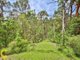 Photo - 42 View Crescent, Arana Hills QLD 4054 - Image 17