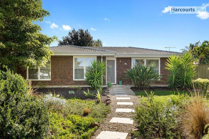 Photo - 42 Whiteley Drive, Trott Park SA 5158 - Image 2