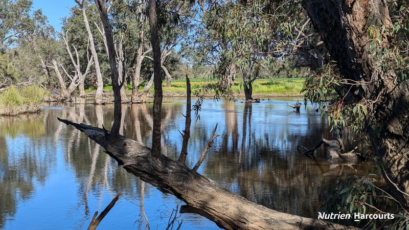 Photo - 420 Baramba Road, Karakin , Gingin WA 6503 - Image 3