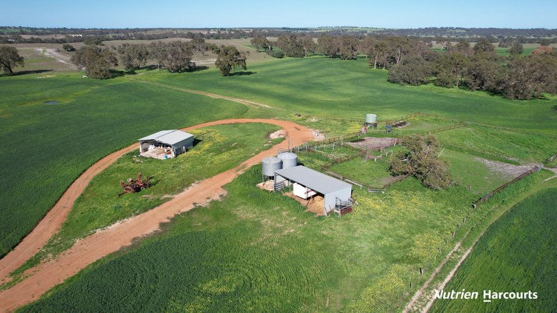 Photo - 420 Baramba Road, Karakin , Gingin WA 6503 - Image 18