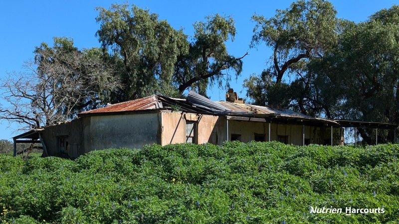 Photo - 420 Baramba Road, Karakin , Gingin WA 6503 - Image 23