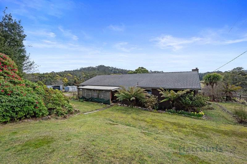 Photo - 420 Loongana Road, Nietta TAS 7315 - Image 6