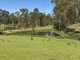 Photo - 420 Mooral Creek Road, Strathcedar NSW 2429 - Image 10