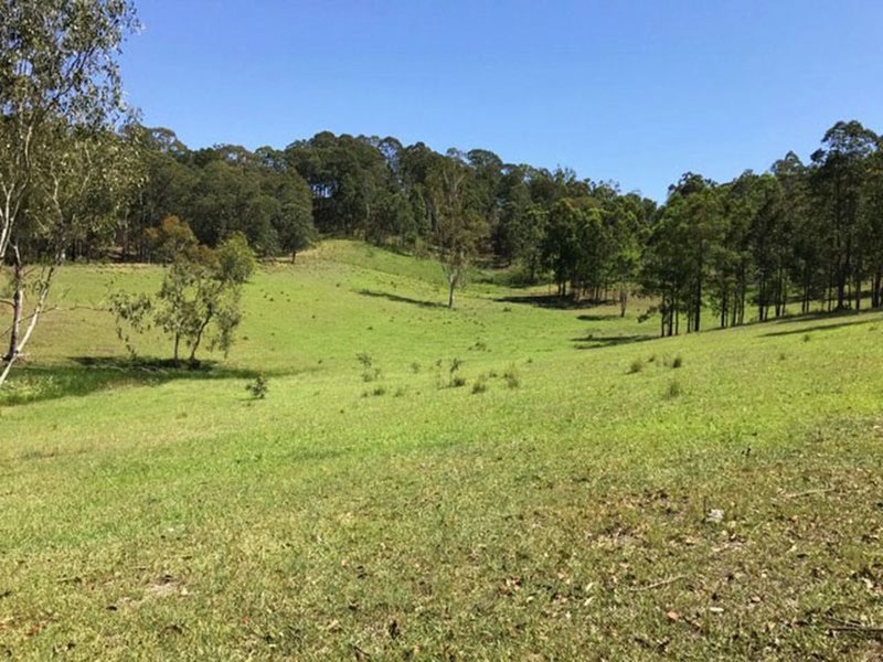 Photo - 420 Mooral Creek Road, Strathcedar NSW 2429 - Image 11