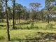 Photo - 420 Mooral Creek Road, Strathcedar NSW 2429 - Image 12