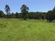 Photo - 420 Mooral Creek Road, Strathcedar NSW 2429 - Image 13