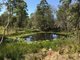 Photo - 420 Mooral Creek Road, Strathcedar NSW 2429 - Image 14