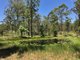 Photo - 420 Mooral Creek Road, Strathcedar NSW 2429 - Image 16