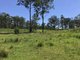 Photo - 420 Mooral Creek Road, Strathcedar NSW 2429 - Image 17