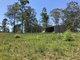 Photo - 420 Mooral Creek Road, Strathcedar NSW 2429 - Image 18