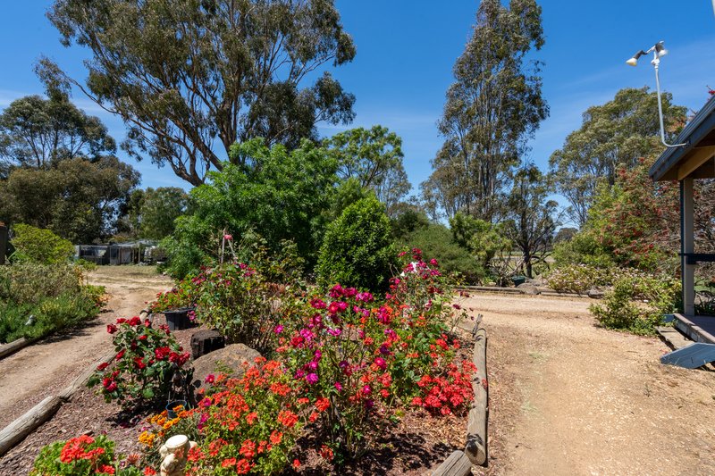 Photo - 420 Seymour-Tooborac Road, Hilldene VIC 3660 - Image 15