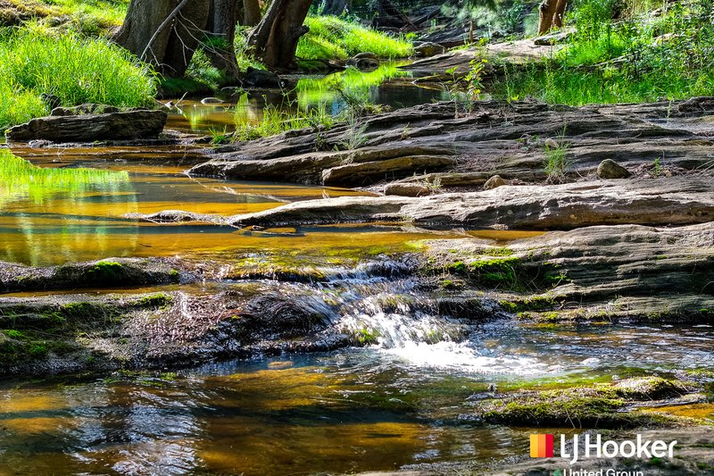 Photo - 420 Spring Creek Road, Mount Hunter NSW 2570 - Image 22