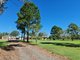 Photo - 422 Beaver Rock Road, Granville QLD 4650 - Image 10