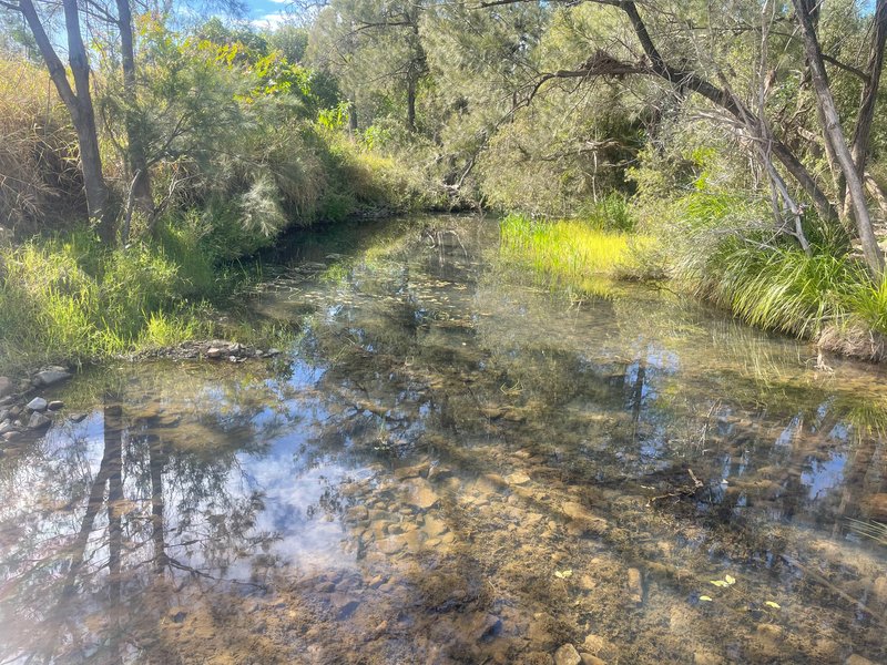 Photo - 422 Buaraba Creek Road, Buaraba QLD 4311 - Image 3