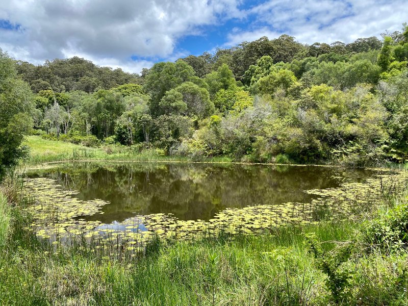 Photo - 422B Tallebudgera Connection Road, Tallebudgera QLD 4228 - Image 1