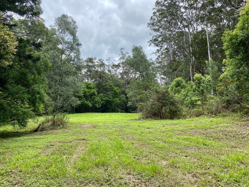 Photo - 422B Tallebudgera Connection Road, Tallebudgera QLD 4228 - Image 5