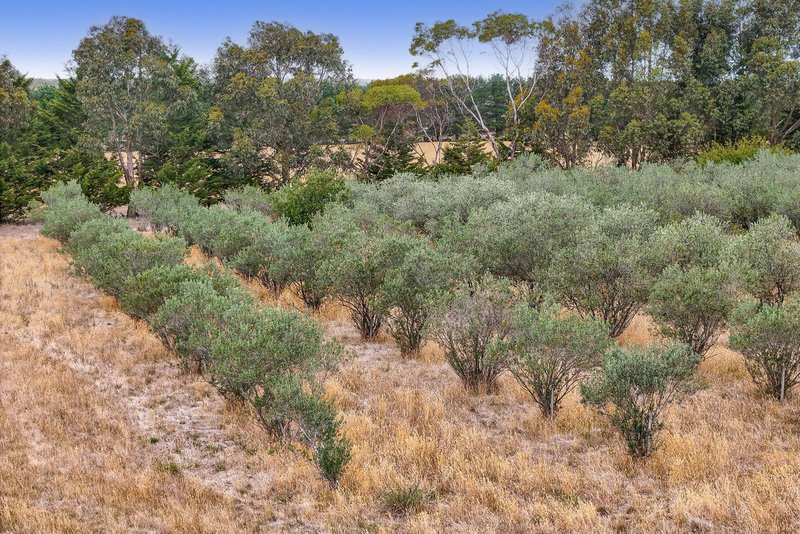 Photo - 424 Brisbane Ranges Road, Mount Wallace VIC 3342 - Image 16