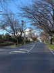 Photo - 4/24 St Johns Avenue, Mont Albert VIC 3127 - Image 12