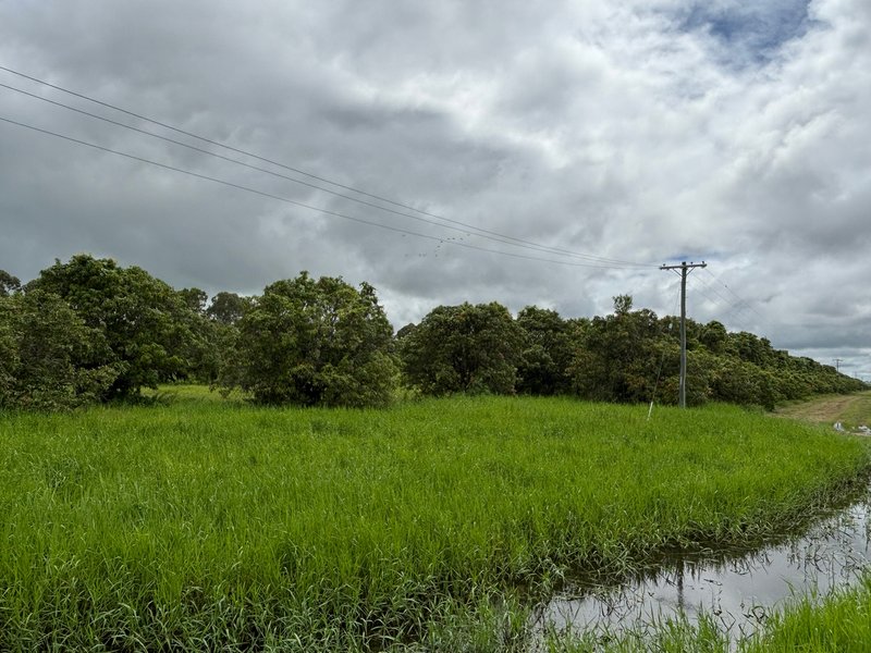Photo - 425 Bartlett Road, Horseshoe Lagoon QLD 4809 - Image 2